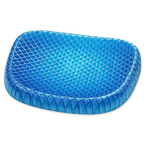Blue Cushion Seat Sitter